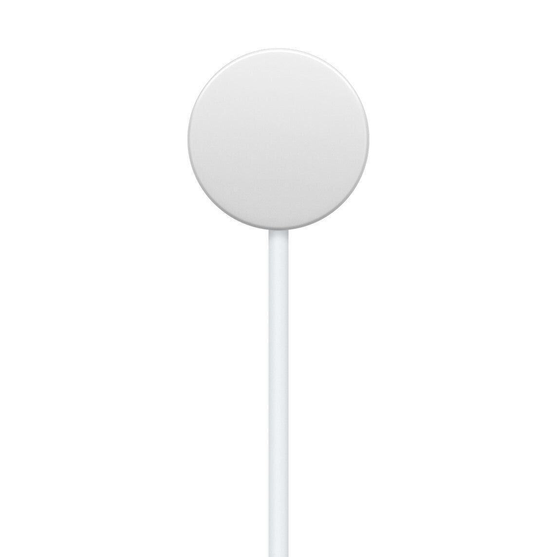 Cavo Apple Watch USB-C Apple Nuovo